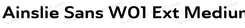 Ainslie Sans W01 Ext Medium字体转换